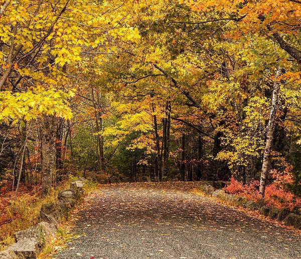 Maine-autumn colors